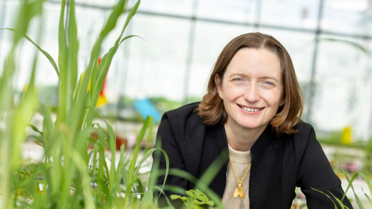 Moa Technology screening compounds to discover herbicides that can control resistant weeds.