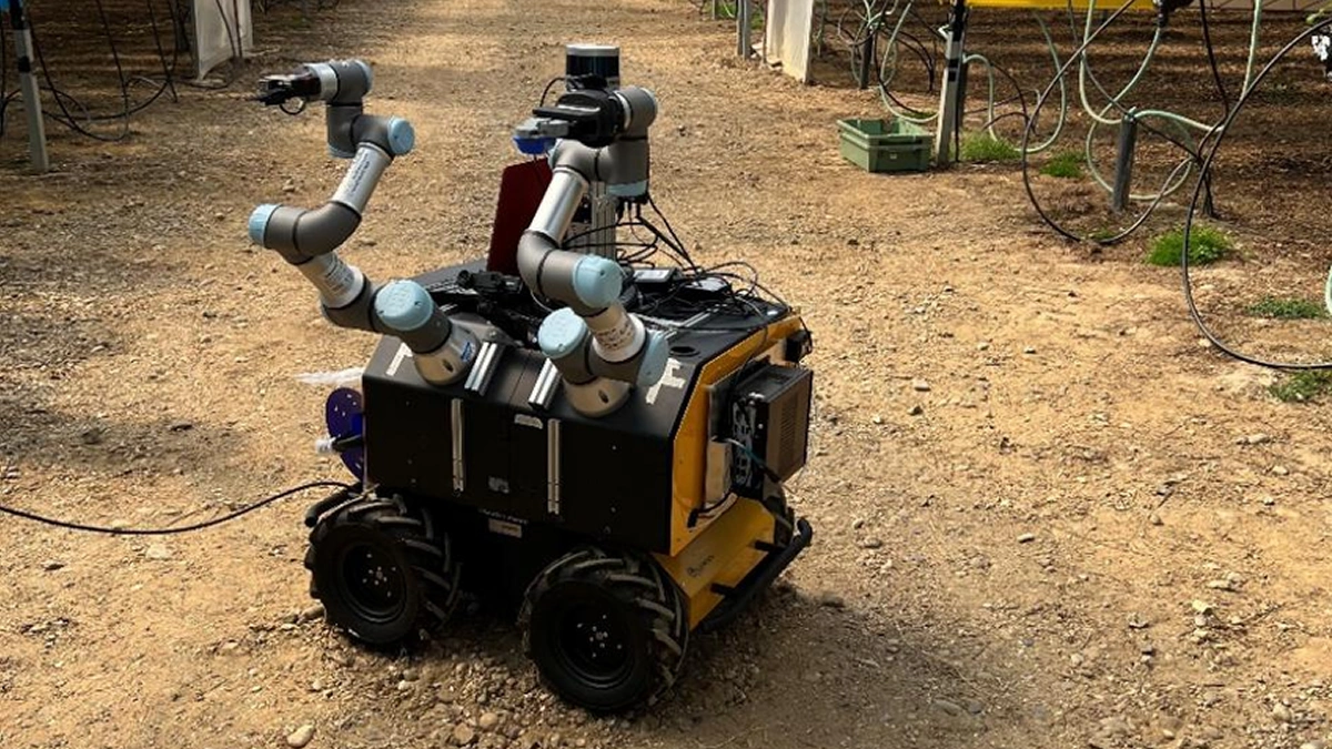 Versatile RobotX agricultural harvesting robot operating with crops after the UK startup secured more than €1.17 million
